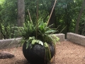 The zen garden outside the family room