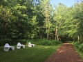 CBB's outing to the Farnsworth house by Mies van der Rohe on June 29th, 2019