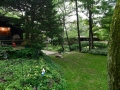 In the back yard, looking toward neighbor Bob's house.